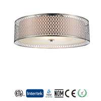 Indoor modern simple ceiling lamp manufacturer's decoration ceiling lamp